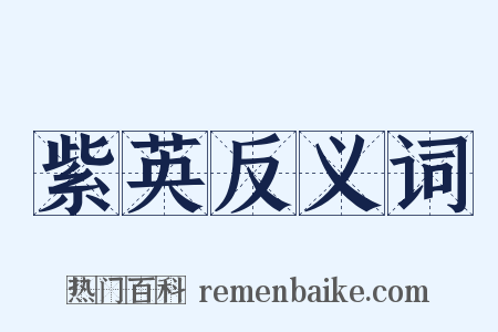紫英反义词是什么意思的图片